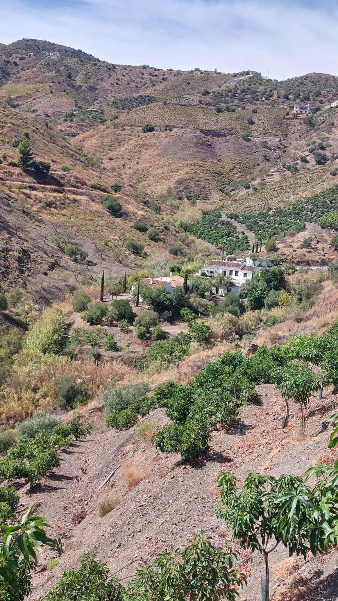 Borge Cortijo Lagar De Luisa旅馆 外观 照片