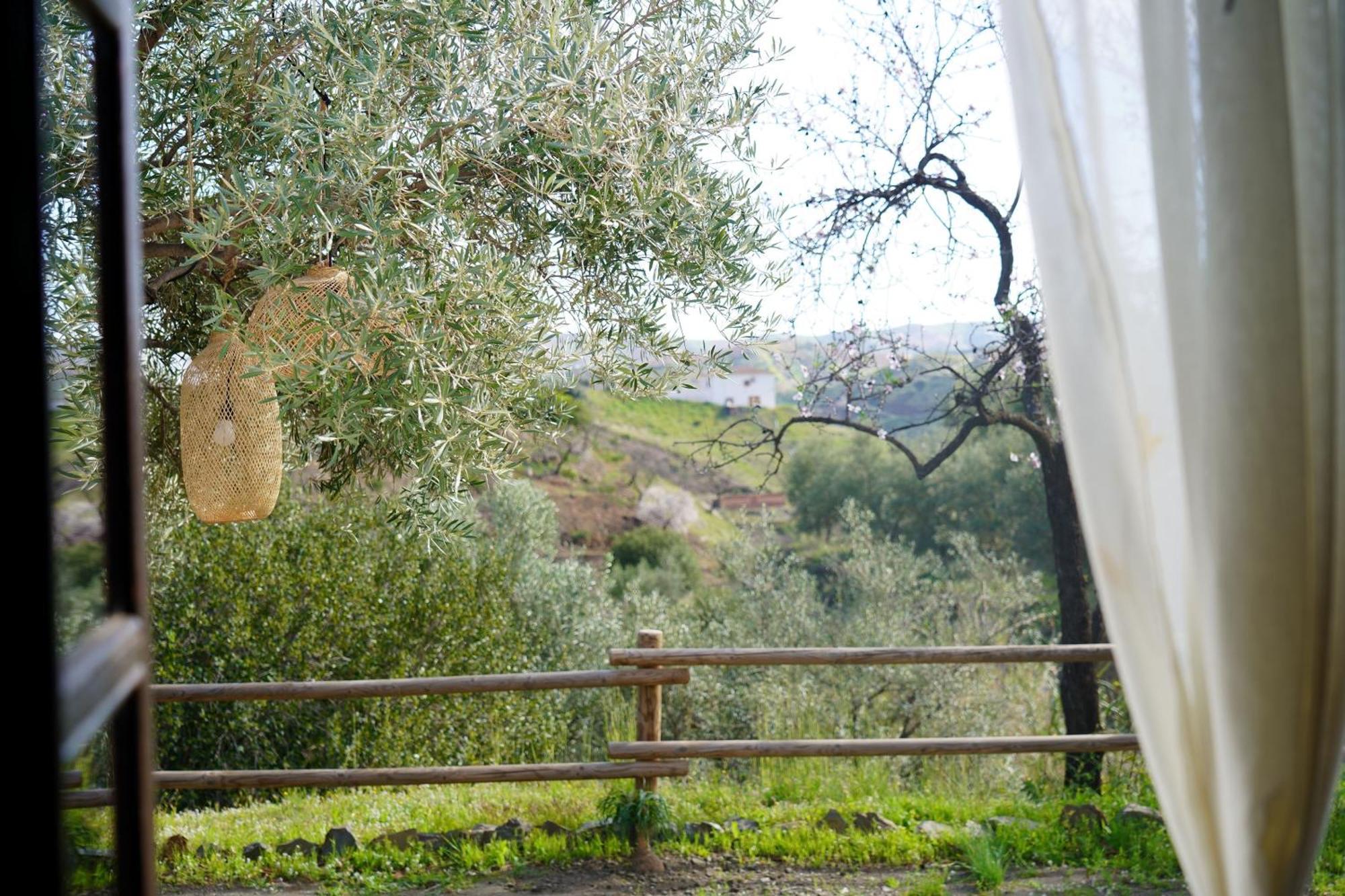 Borge Cortijo Lagar De Luisa旅馆 外观 照片