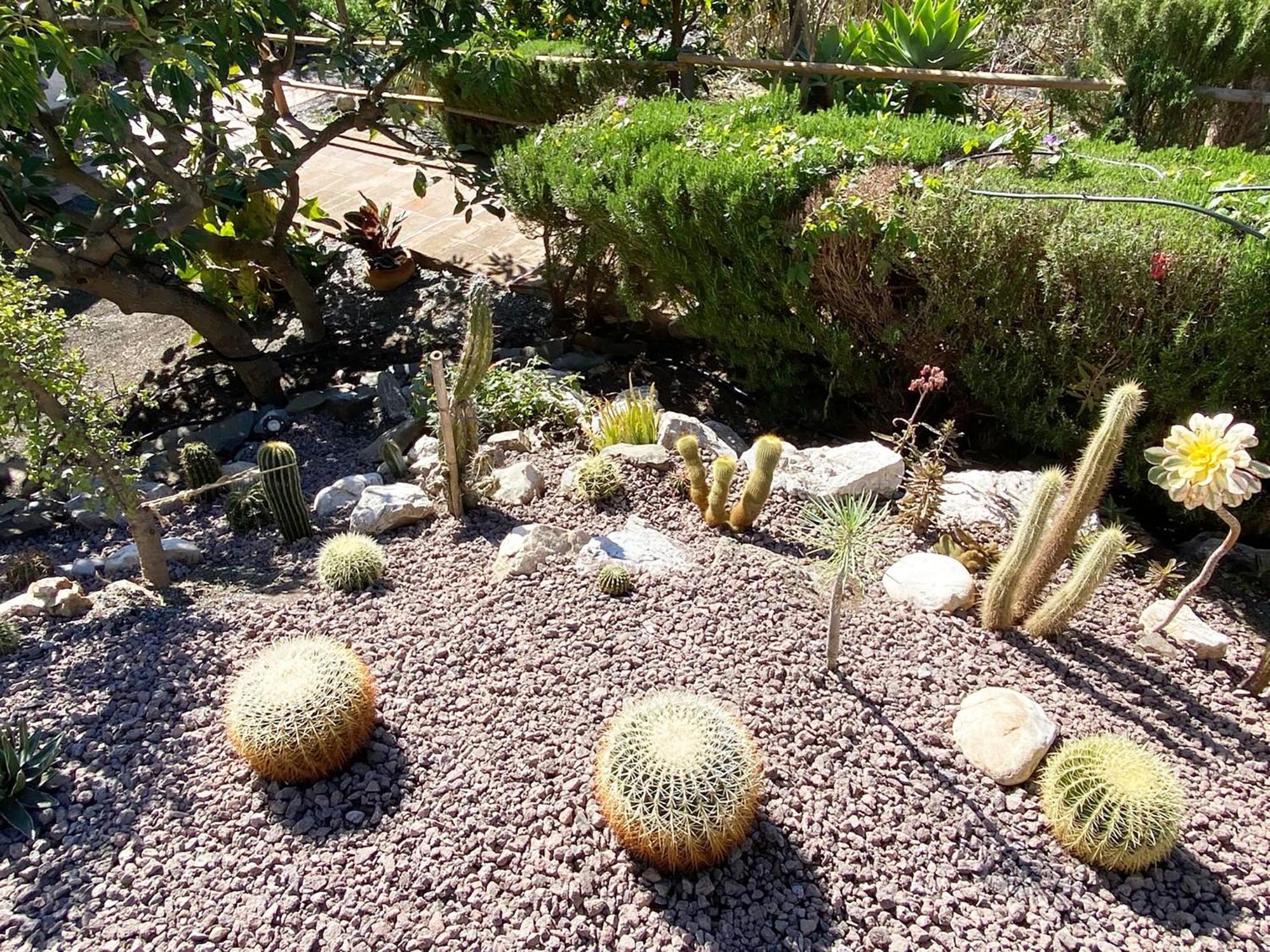 Borge Cortijo Lagar De Luisa旅馆 外观 照片