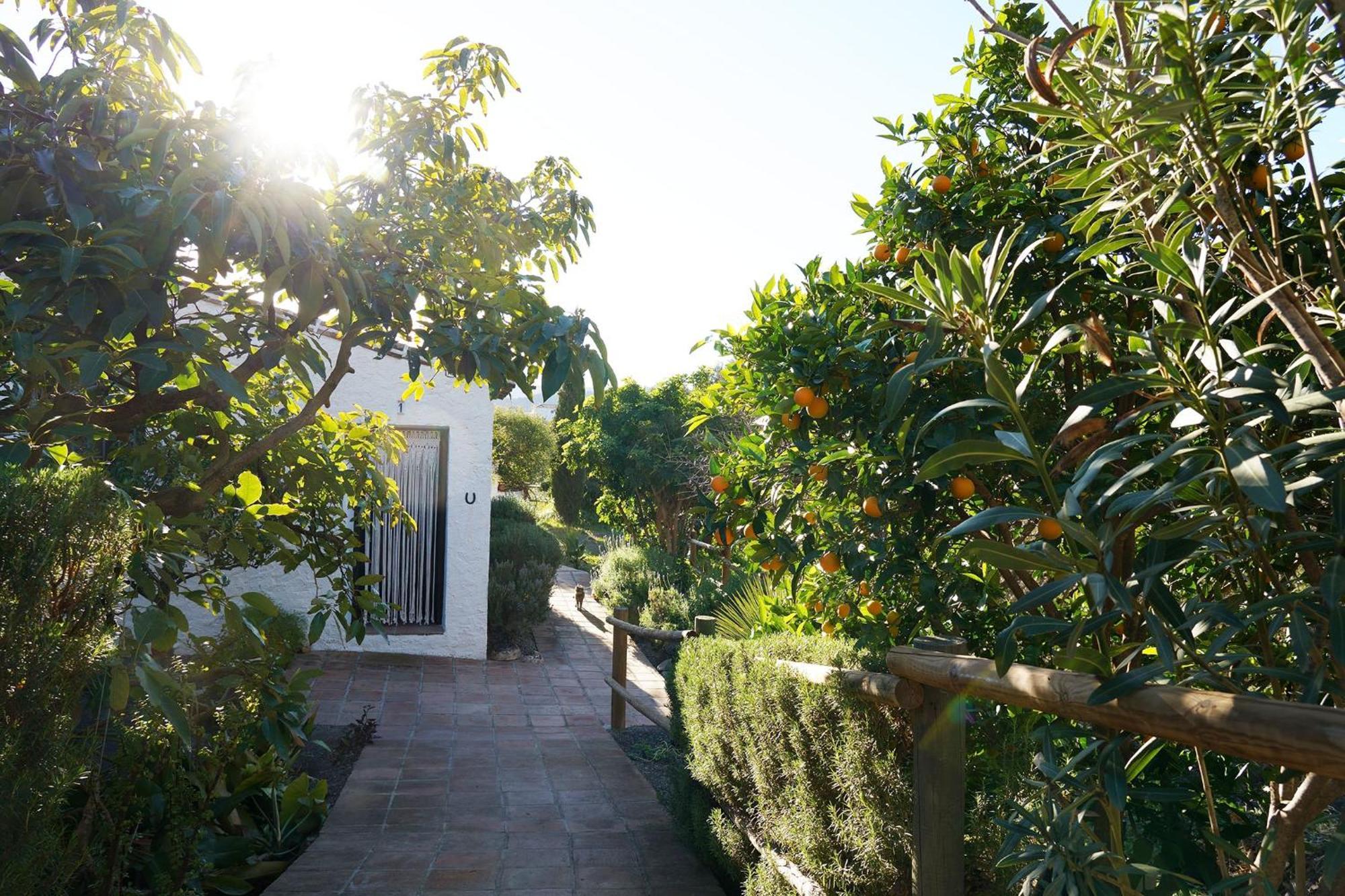 Borge Cortijo Lagar De Luisa旅馆 外观 照片