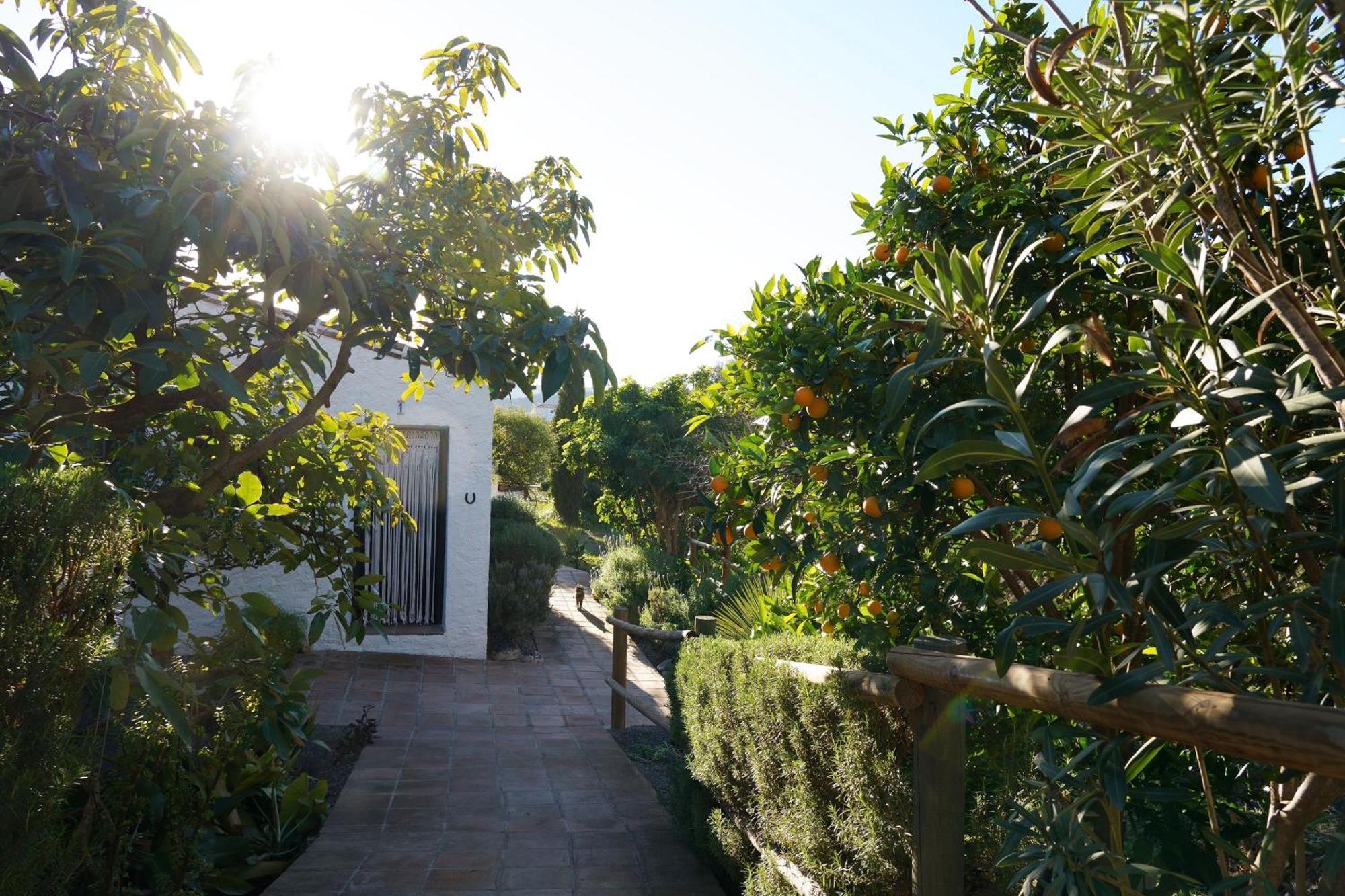 Borge Cortijo Lagar De Luisa旅馆 外观 照片