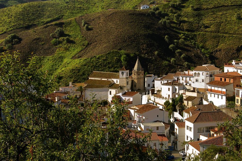 Borge Cortijo Lagar De Luisa旅馆 外观 照片